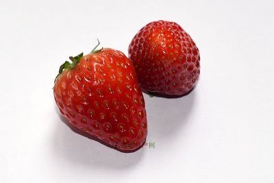 昌平草莓