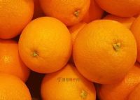 萝岗甜橙