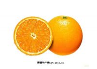 忠县柑橘