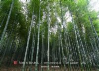 竹制品