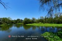 太湖图影生态湿地文化公园