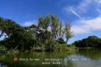 崇明西沙国家湿地公园