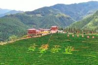 古楼驿生态文化旅游区