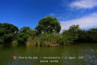 安邦河湿地公园