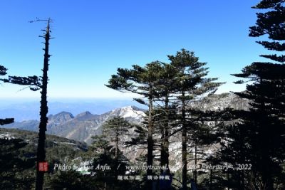 阿尔卑斯山