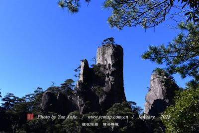 蒲牢鸣天(海狮吞月)