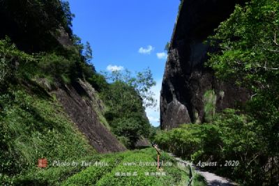 平安森林公园