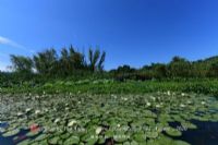 黎香湖湿地生态园
