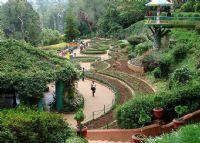 印度乌蒂植物园