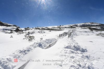 雪瓦尼城堡