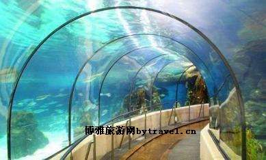 巴塞罗那水族馆