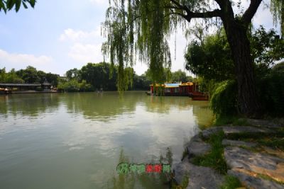 長提春柳