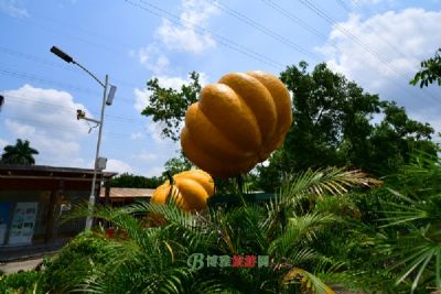 卞庄镇代村生态农业旅游区