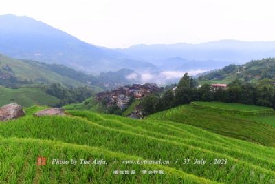 巴泽梯田