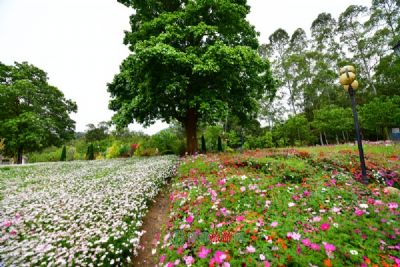 烟台开发区鼎丰生态园