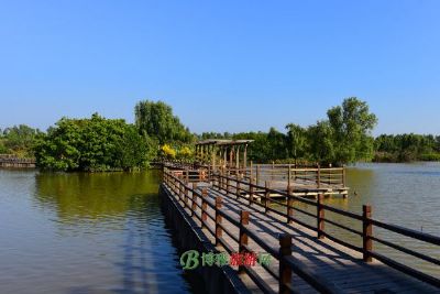 海韵万亩生态湿地旅游区