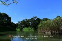 湖南涔槐国家湿地公园
