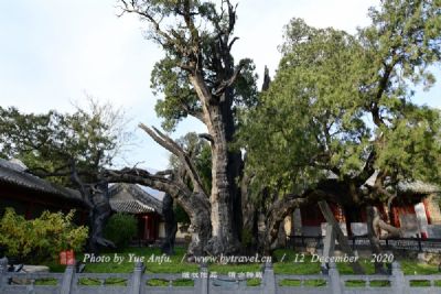嵩阳景区