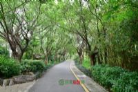 紫蓬山国家森林公园