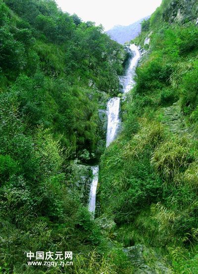 龙湫灵液