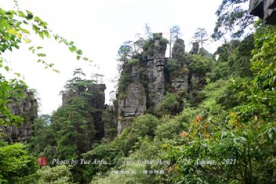 朱家尖白山景区（观音文化苑）