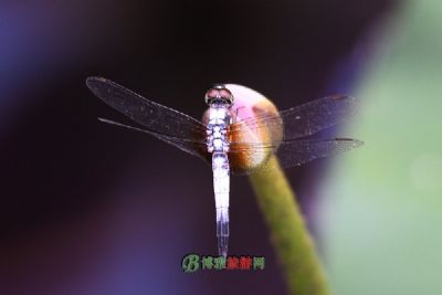 九龙潭风景区