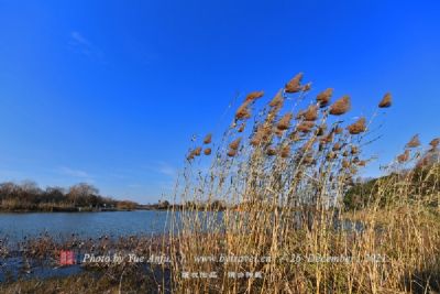 山东沂水国家湿地公园