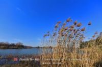 安徽三汊河国家湿地公园