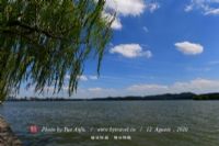 四川营山清水湖国家湿地公园