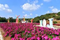 鄢陵国家花木博览园