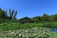 洪泽湖湿地观鸟园