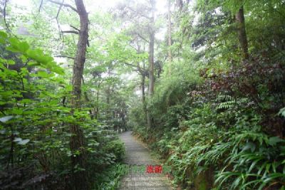 茶马古道-百丈房古栈道