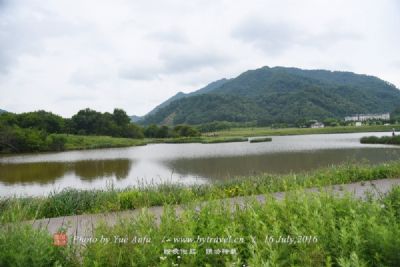 大九湖高山湿地