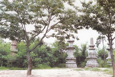 大泽山石刻及智藏寺墓塔林