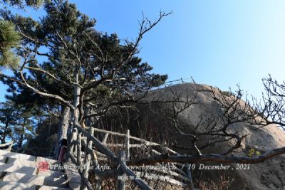 平顶山公园